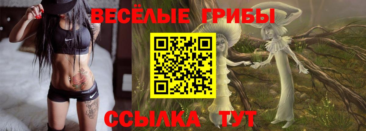 как найти наркотики  Вход с VPN  Нягань  Псилоцибиновые грибы Psilocybe 